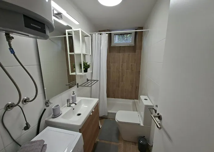 Crassula 스플리트