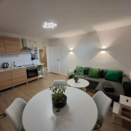 Crassula Appartement